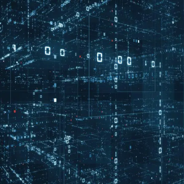 cybersecurity experts - DigitalXRAID