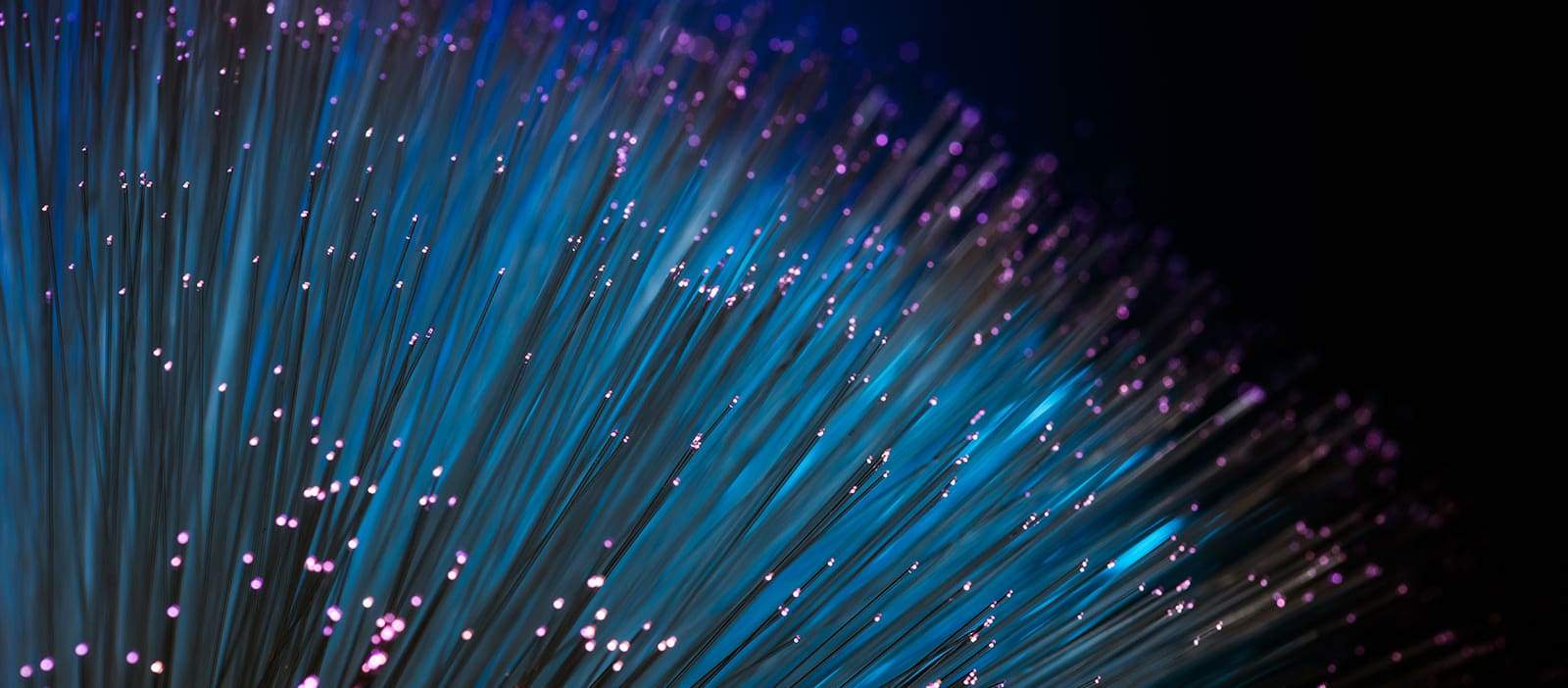 cyber security services